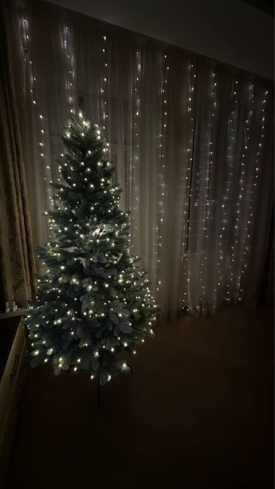 Гірлянда штора «Провені рост»