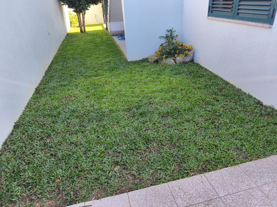 Serviços jardinagem