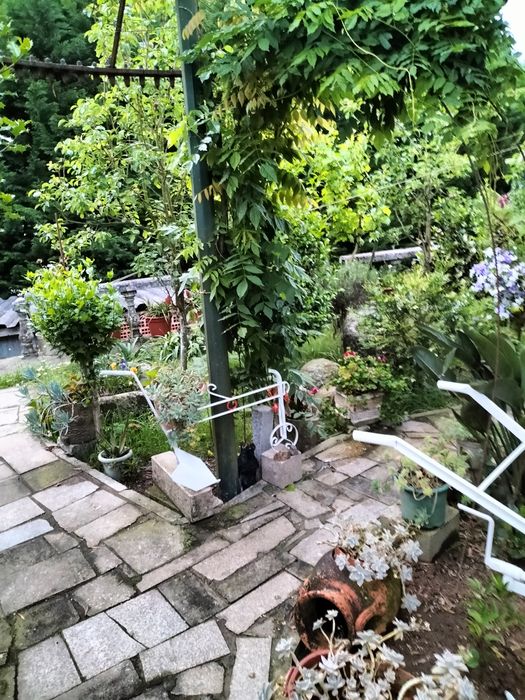 Jardineiro renovações limpeza e manutenção jardim