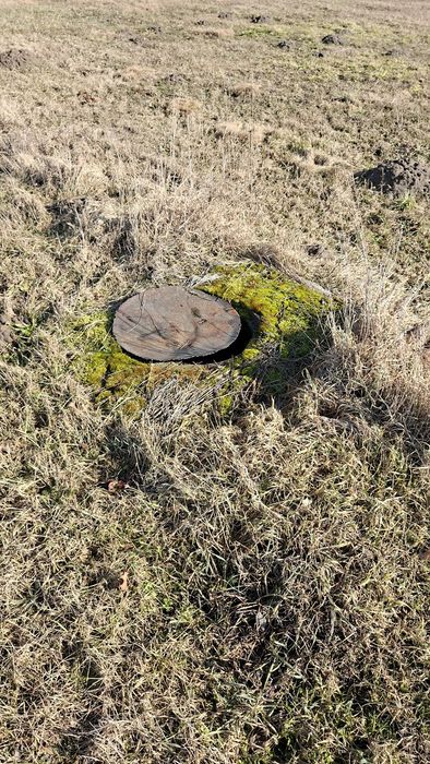 6000 m² działka budowlana plus rolna - Więcej