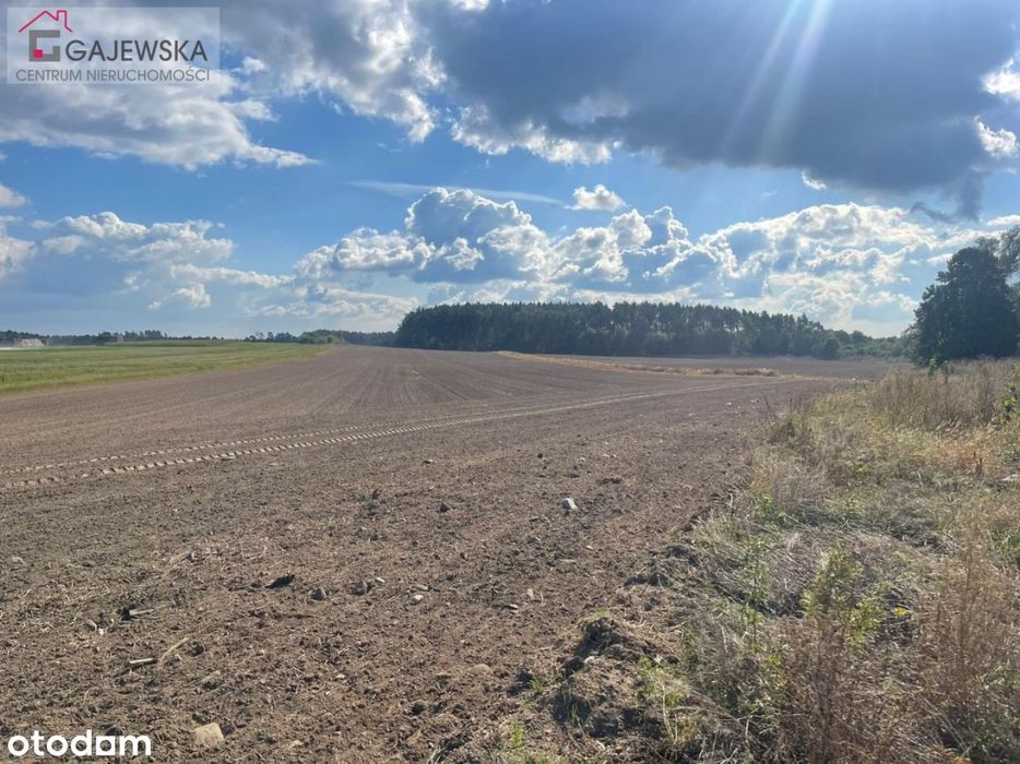 Działka budowlana przy lesie, Szydłowo ul.Ogrodowa - Widok 4