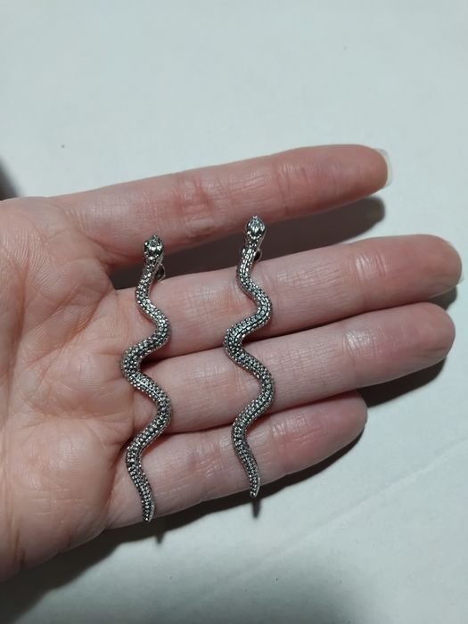 Brincos de cobra prateados