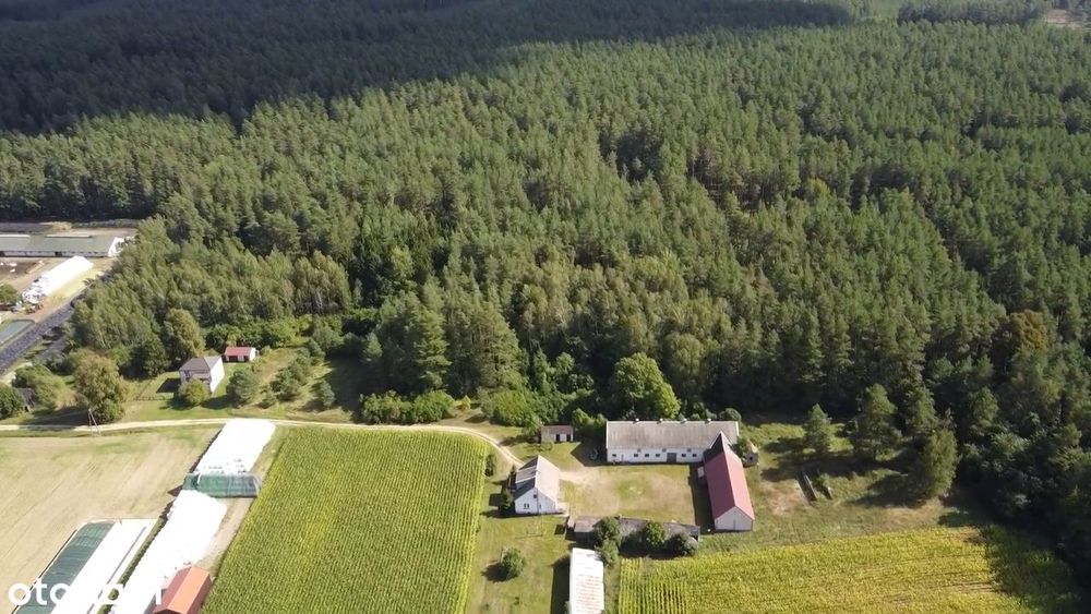Siedlisko Na Podlasiu | 1,28 Ha| Dom + Zabudowania | Las Obok | M.huta