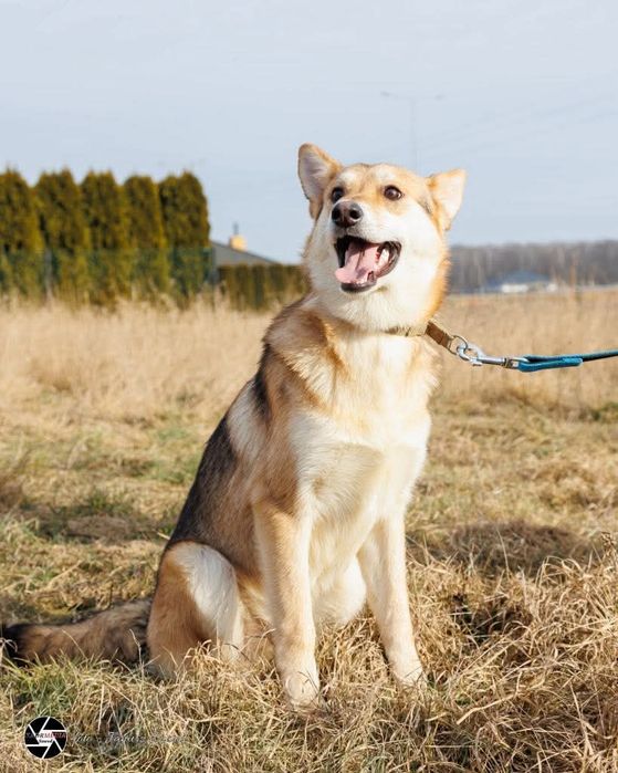 Miki rozgląda się za swoim domem