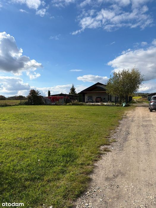 Działka budowlana z mediami, blisko lasu - Widok 5