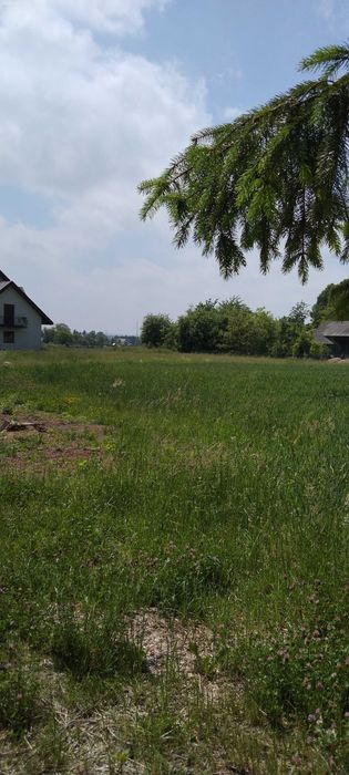 Działka na sprzedaż z WZ - Sitaniec Kolonia - View 4