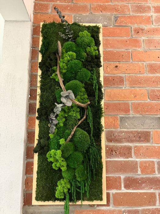 Obraz z mchów stabilizowanych do biura salonu żywy mech