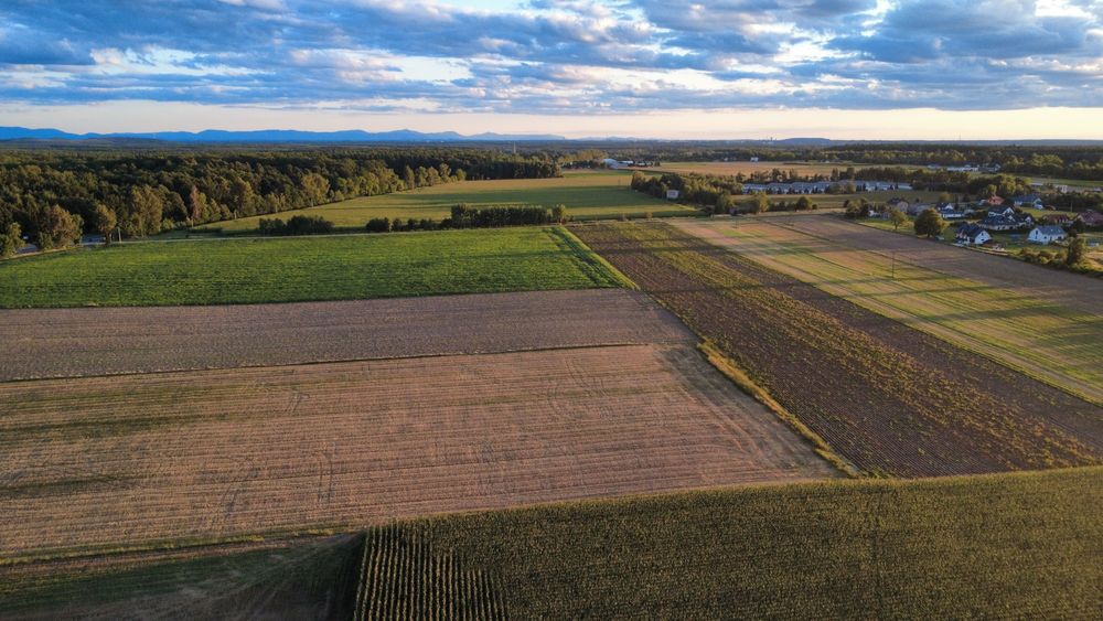 Wykonam zdjęcia działki