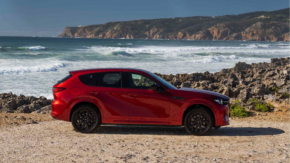 Zdjecie w galerii numer 5