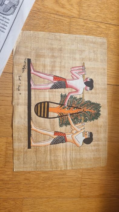 Papyrus obraz papirus ręcznie namalowany egipt egipski
