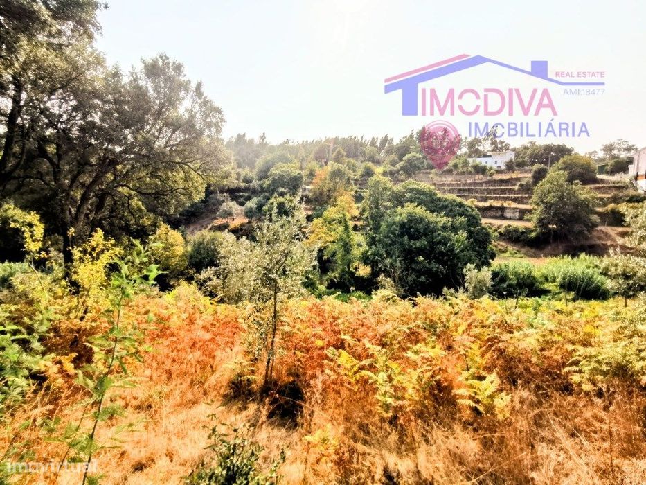 Moradia T2 com terreno a confrontar com ribeira em Figueiró dos Vinhos