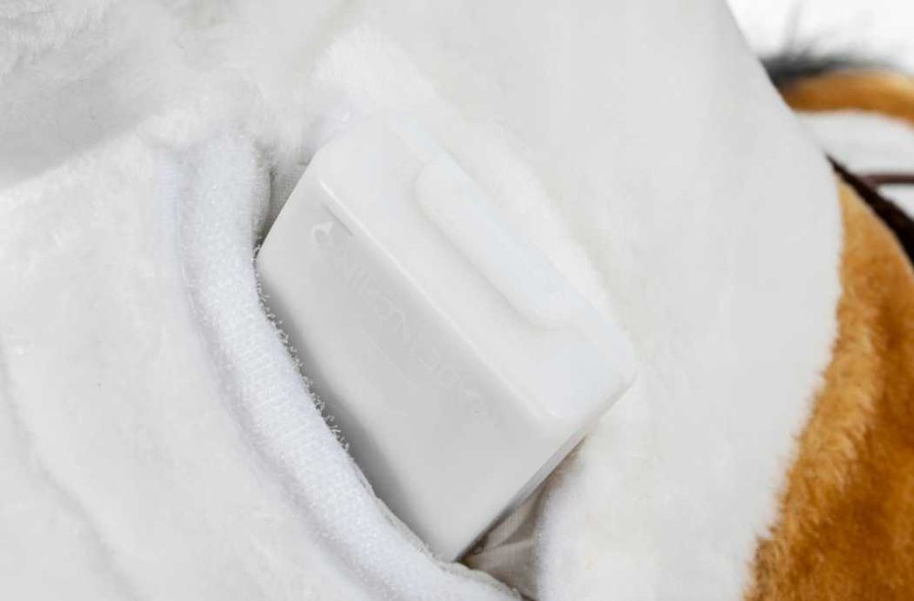 KOŃ NA BIEGUNACH prezent interaktywny dla dziecka bujany konik