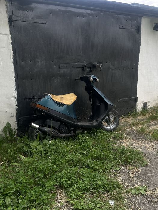 сутер сузуки  сепия