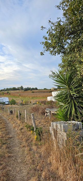 Terreno rústico em salreu, Estarreja