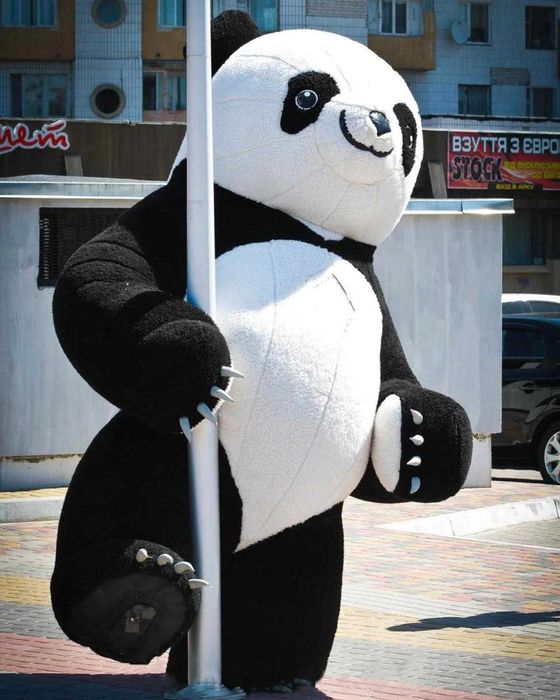 Kostium dmuchany Pandy 2,6m