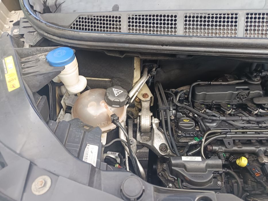 Pegouet expert  camioneta