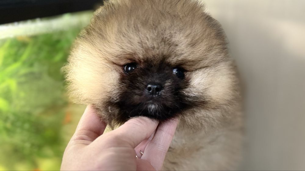 Милий хлопчик чекае на мамтусю