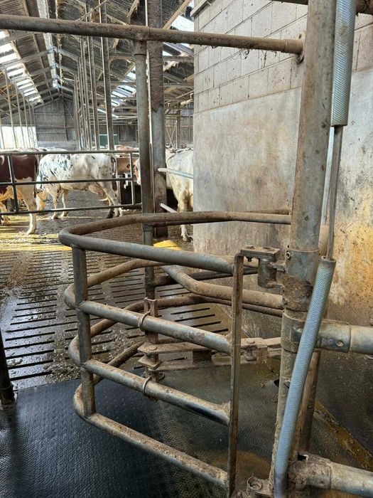 Hala udojowa Westfalia GEA 2x16 Swingover 50°