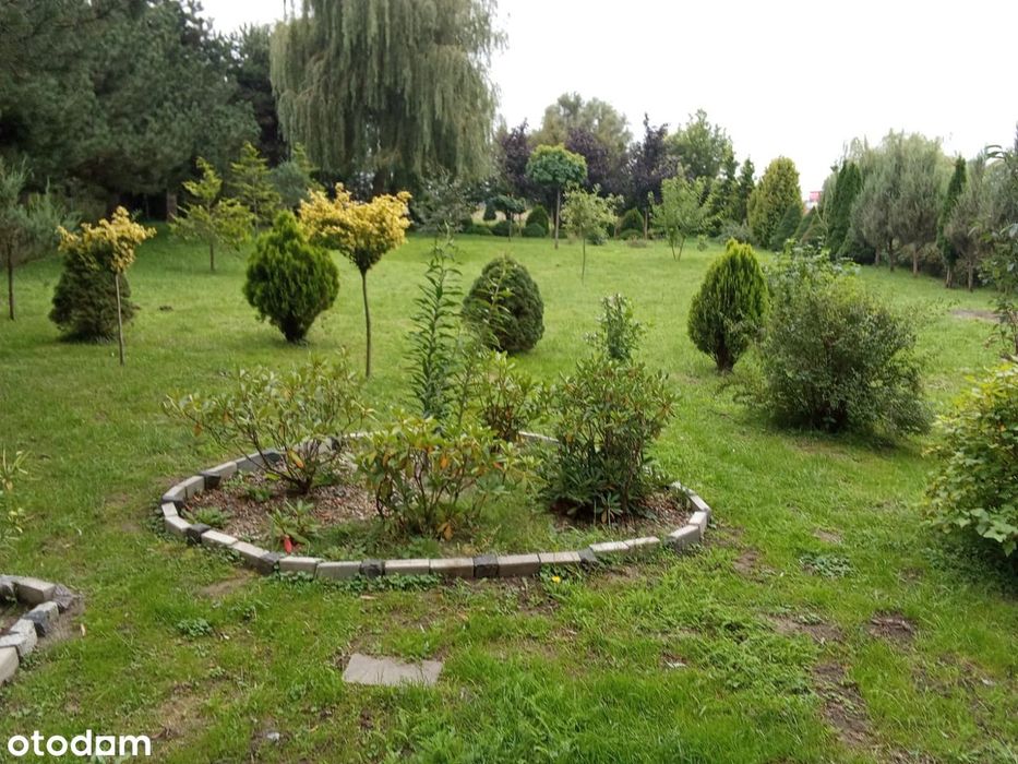 Działka pod inwestycję z mediami, 4000 m² - Widok 4