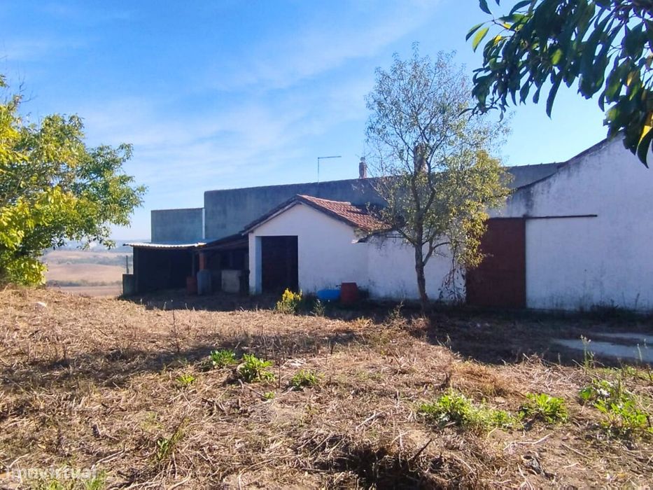 Armazém e atividade industrial na Póvoa da Isenta
