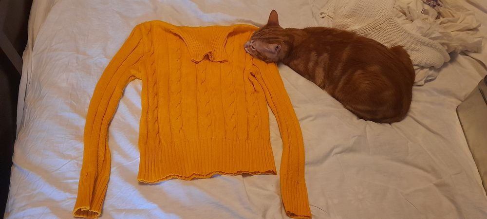 Caminsola de malha de gola alta