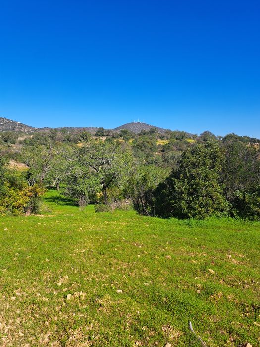 Terreno Rústico em Alcaria Cova/Estoi