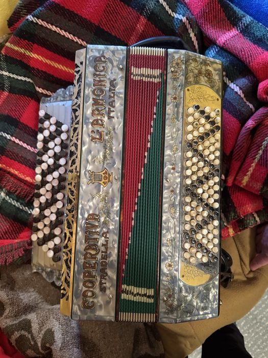 Vende-se lote de acordeons usados