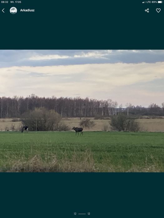 Wynajmę nowoczesny domek Mazury grill, basen,klimatyzacja