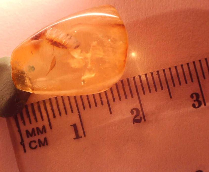 Bursztyn inkluzja pleśń lub coś zbliżonego  oj ciekawa.