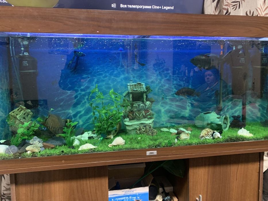 Акваріум діючий ,німецького виробництва