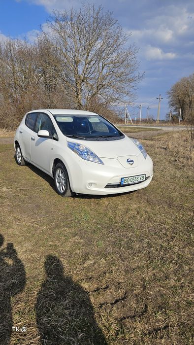 Нісан Ліф 2014 року