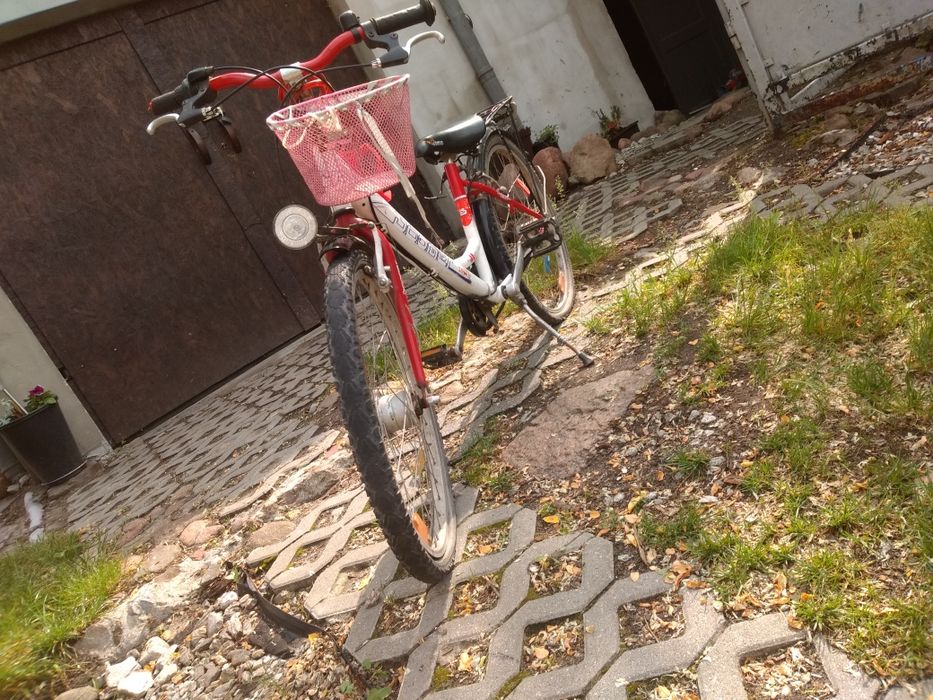 Rower dziecięcy boomer (24cale)