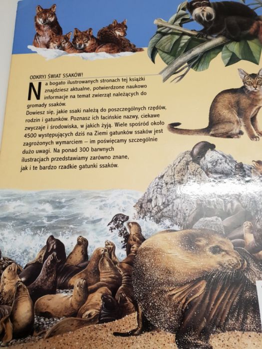 Ssaki Ilustrowana encyklopedia dzikich zwierząt