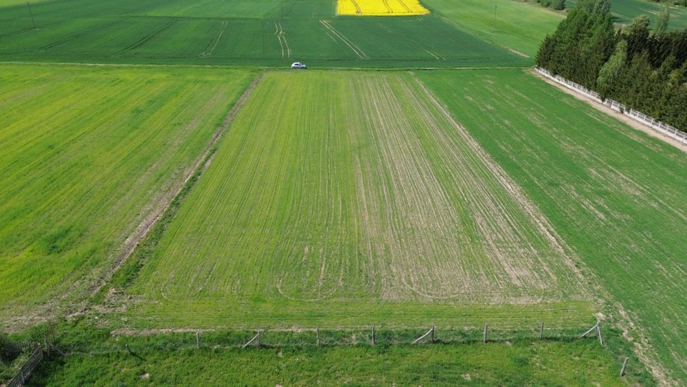 Działka budowlana 51 arów w Płóczkach Dolnych