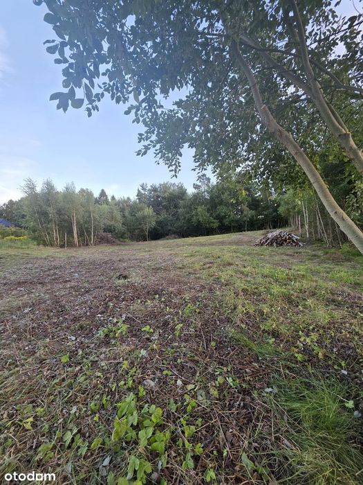 Działka 1289 m² przy lesie| media | projekt domu| pozwolenie na budowę