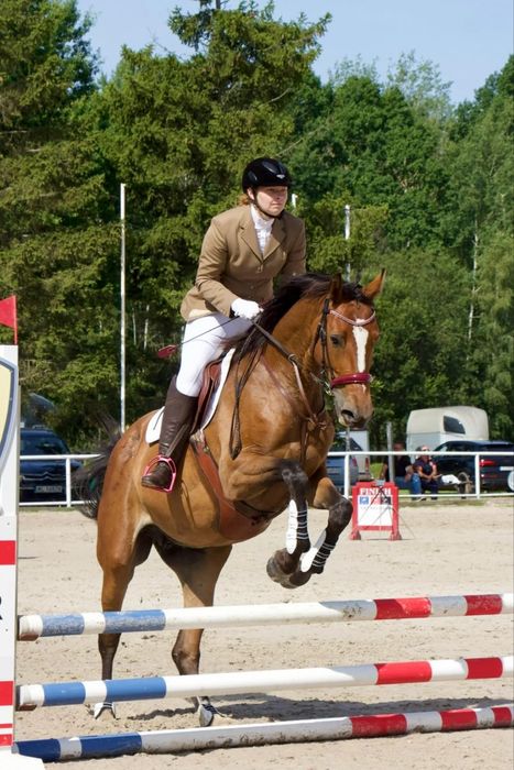 Klacz 5 lat 170cm bezpieczna, zrownowazona klacz