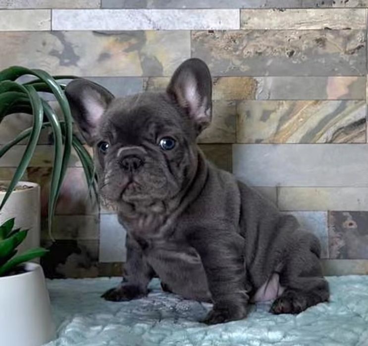 Блакитний колір, малюк