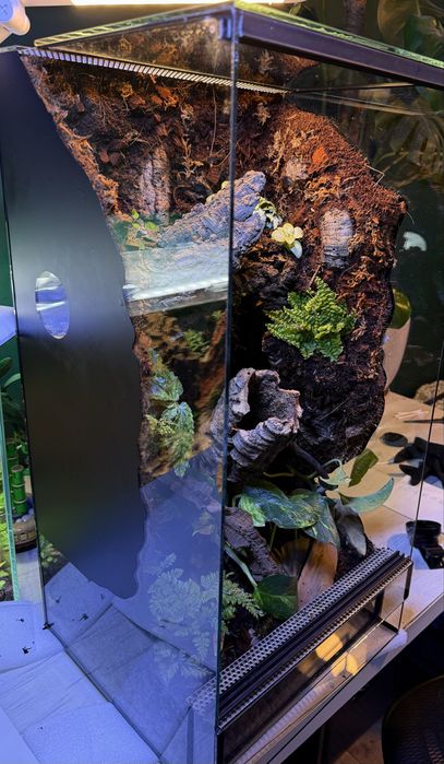Terrarium 30x30x50 i inne
