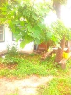 Продам дім,Чернігівська область