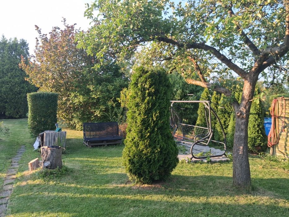 Ogrodek dzialkowy