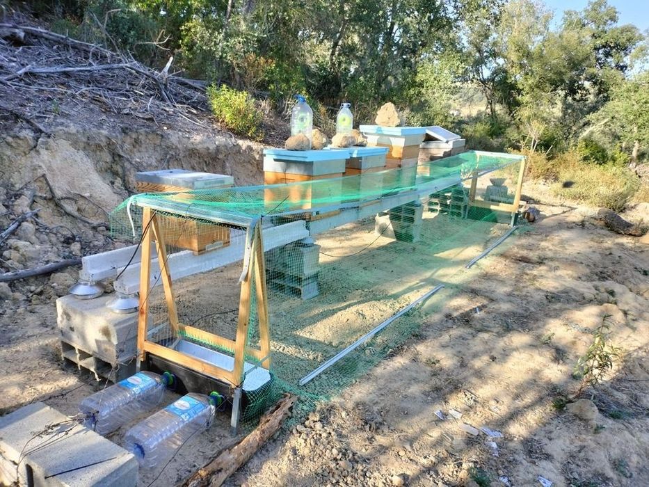 Harpas várias - arpa eléctrica anti velutina vespa asiática