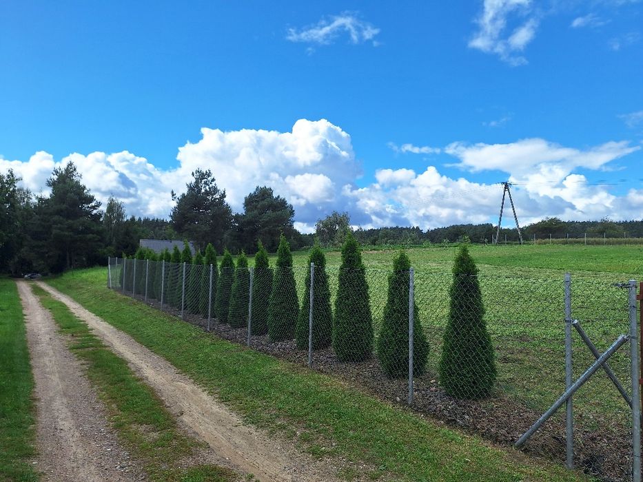 Działka 4000 m² z WZ | Rzeka Wel 100 m | Jezioro 400 m | Ogrodzona