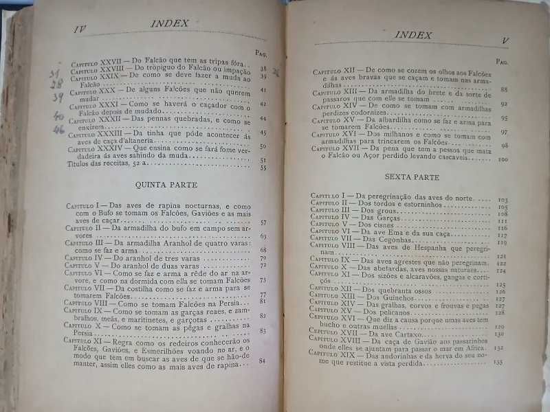 arte da caça e altaneria diogo fernandes ferreira