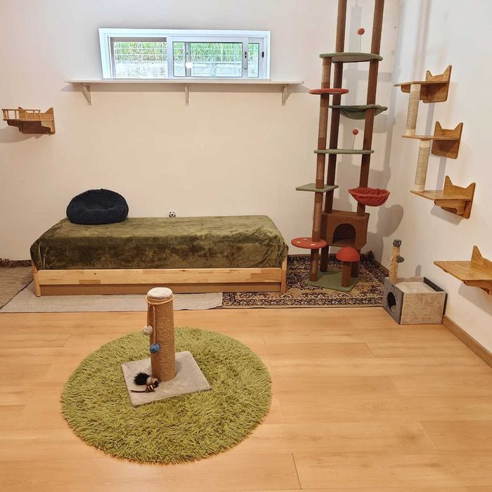 CAT HOTEL. Hotel para gatos. Hospedagem Familiar para Gatos