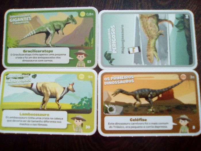 16 Cartas Super Animais