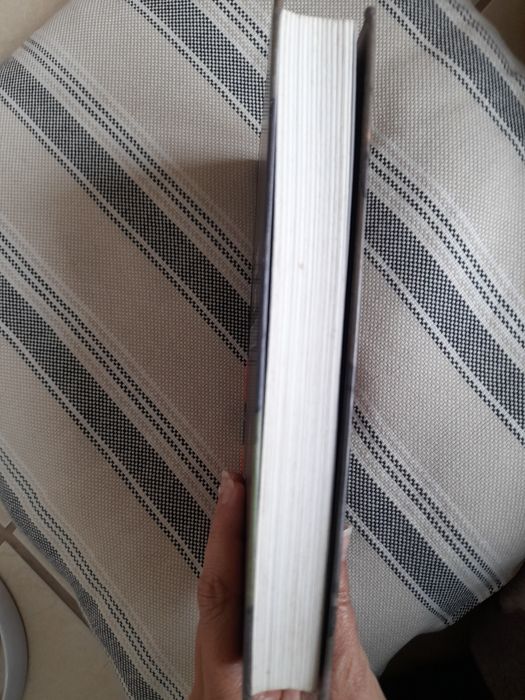 Livro "O deus das pequenas coisas "