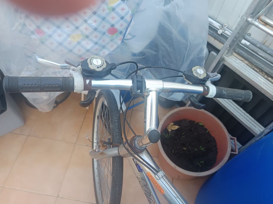 Bicicletas a pedais uma de desporto e outra de passeio.