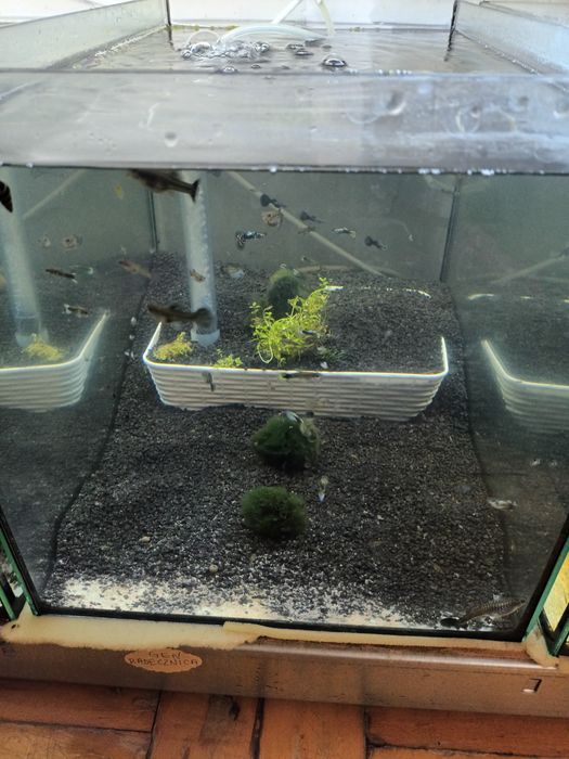 Akwarium 45 l. Sprzedam