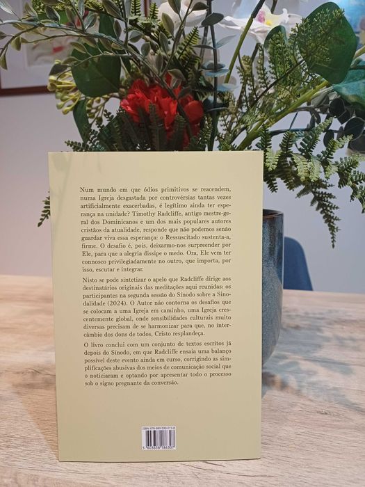 Surpreendidos pela Esperança - Caminhar juntos à luz da Palavra (NOVO)