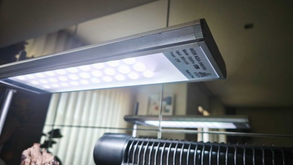 Aquário 35x20x23 com tronco e luz